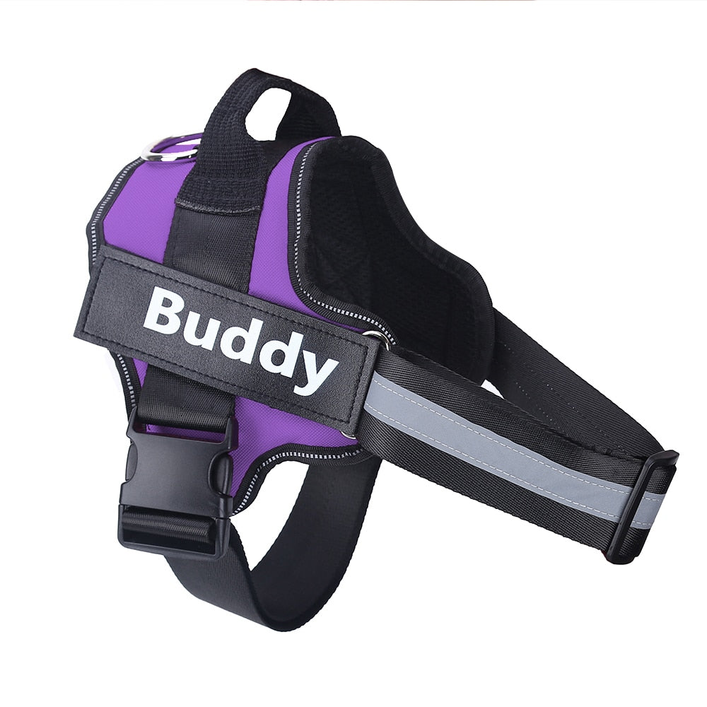Personalized 'No Pull' Dog Harness