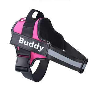 Personalized 'No Pull' Dog Harness