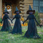 Lighted Halloween Witch Decoration