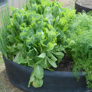 Fabric Raised Planting Bed - Enjoy your planting life